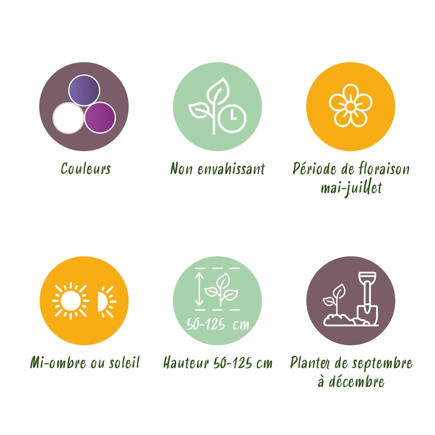 Bloembollenmix Giftset