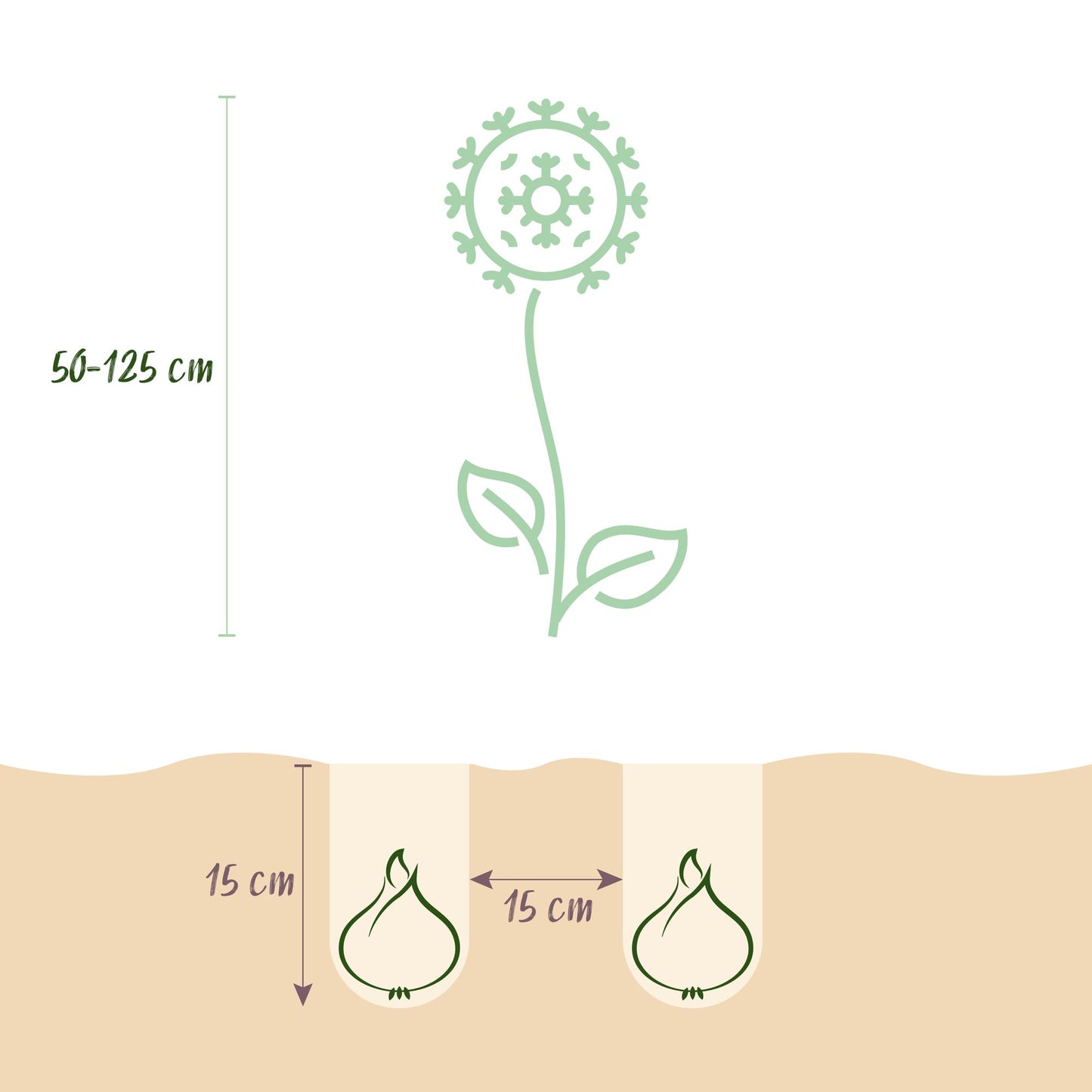 Bloembollenmix Giftset