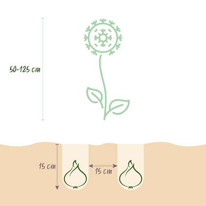 Bloembollenmix Giftset