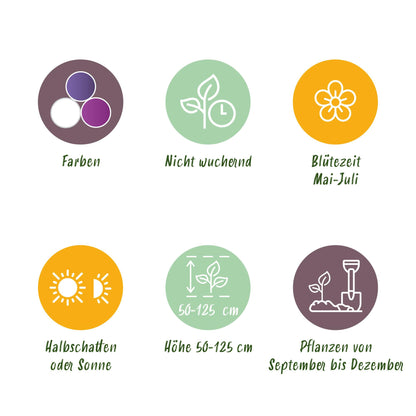 Bloembollenmix Giftset