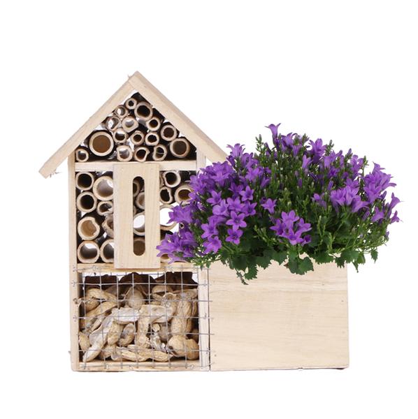 Insecten hotel met plant